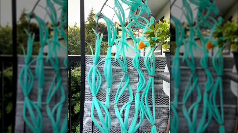 Slices of pool noodle attached to a trellis are the start of decorative pumpkin vines.