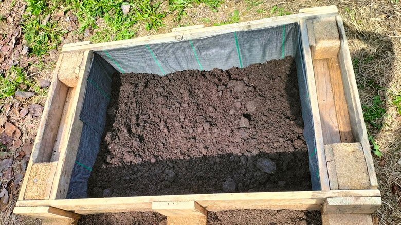 Wood pallet garden bed with lanscape fabric lining half filled with soil