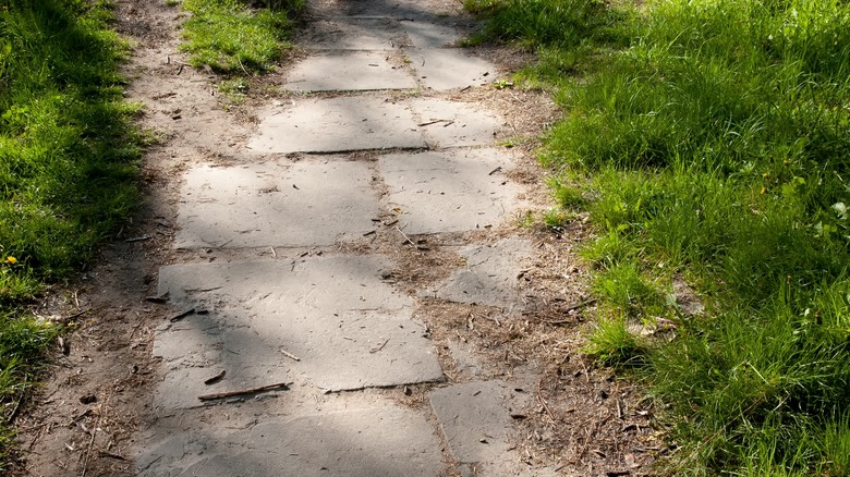 Overgrown walkway with grass creeping onto the stones
