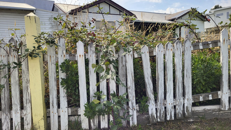 Poorly maintained fence