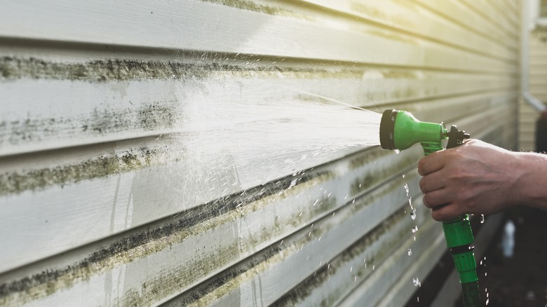 Spraying off dirty siding with water from a hose