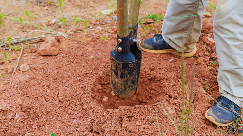 Person digging a post hole by hand