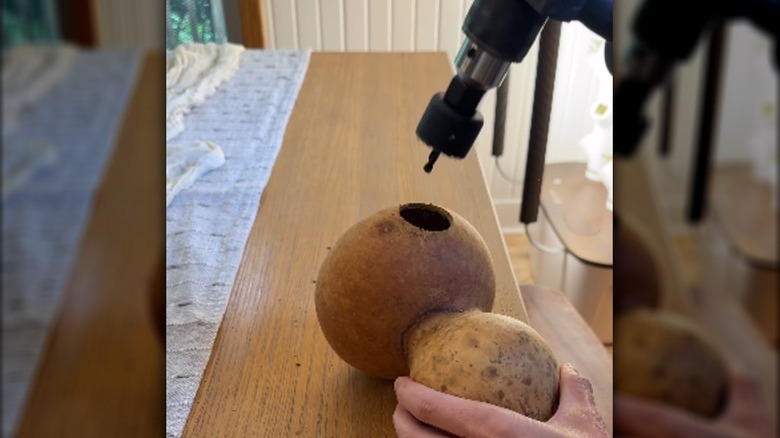 demonstrator drilling entrance hole into gourd