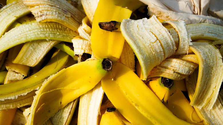 stack of banana peels