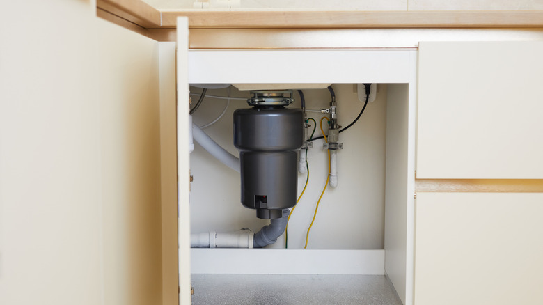 A Garbage Disposal Unit under the sink