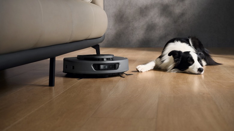 3i S10 Ultra cleaning floors beside sofa and resting dog