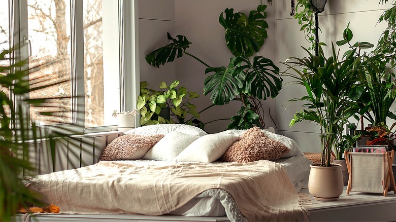 Bedroom with tropical plants