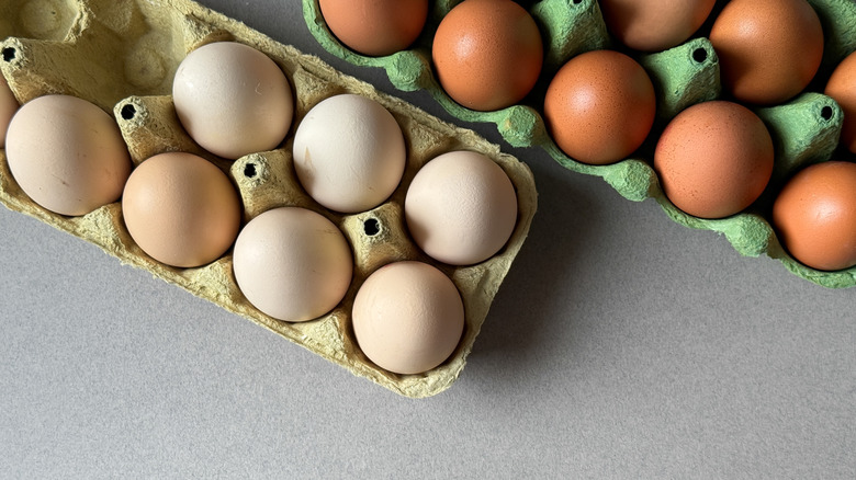 View of off-white eggs in a brownish egg carton next to brown eggs in a green egg carton on a counter