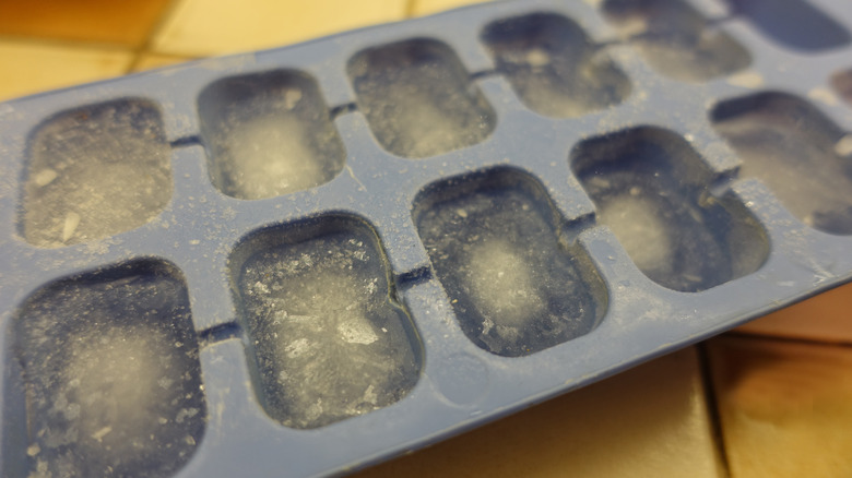 Frozen ice cubes in a tray