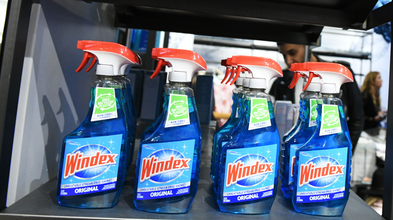 bottles of windex