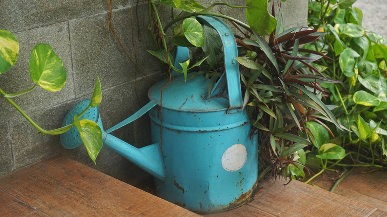 A blue metal watering can used as planter on an outdoor stairwell.