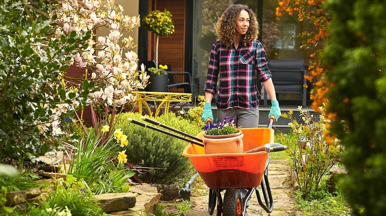Person wheeling wheelbarrow through garden