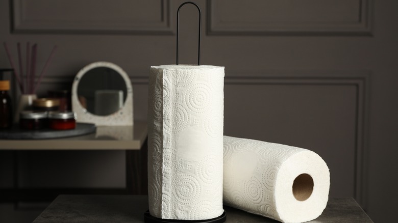 Paper towel holder on counter