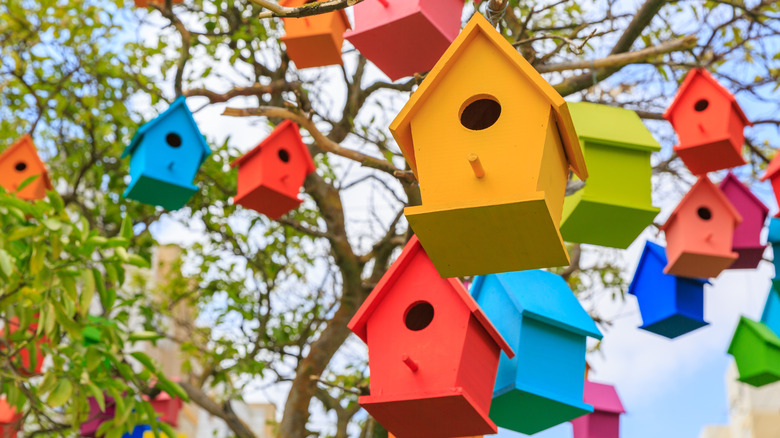 Colored birdhouses hanging in tree