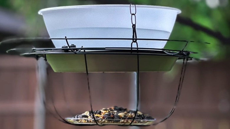 A closeup of the finished bird feeder and bath combo showing the plastic water bowl on the top and the bird seed in the small plate at the bottom