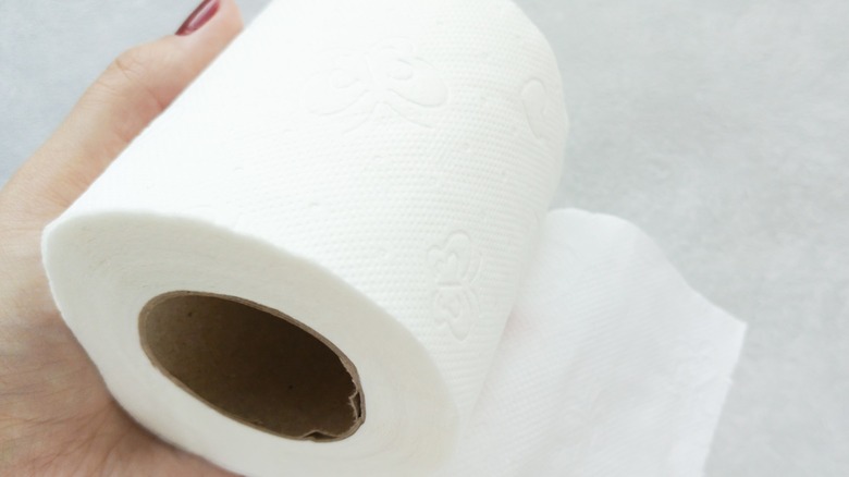 Woman with painted nails holding toilet paper roll