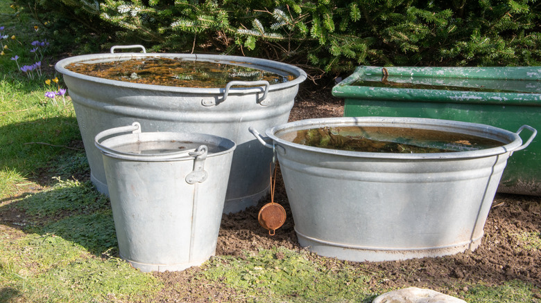 Several old wash tubs are gathered in an outdoor setting.