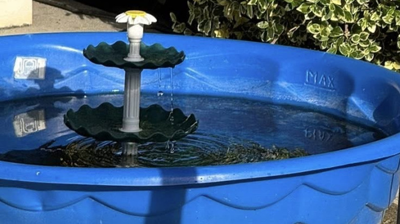 A basic DIY kiddie pool bird bath with a fountain in someone's sunny yard