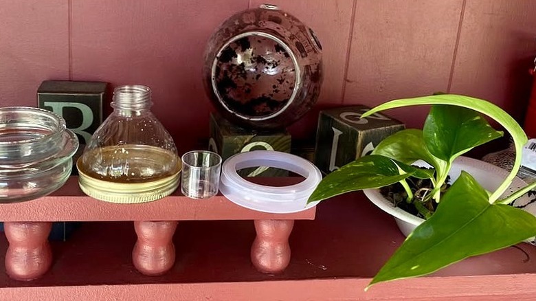 Mason jar lid, snow globe glass, plastic bottle top, and a small pothos plant