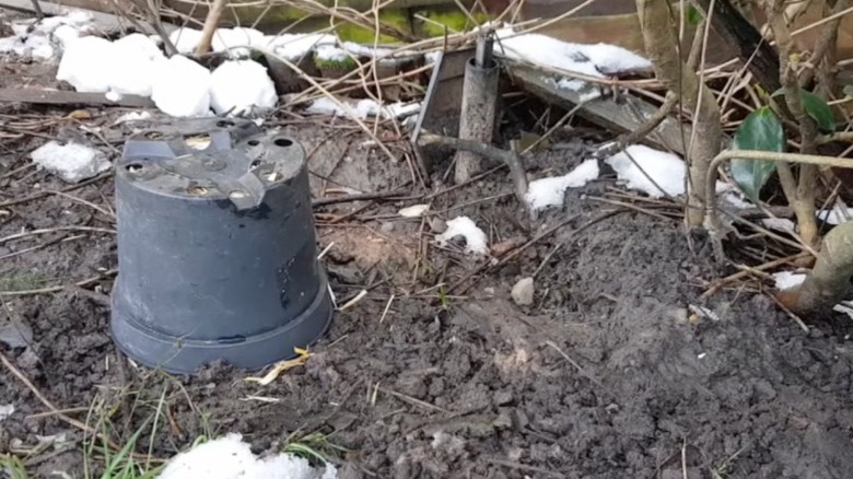 A bumblebee house made from an upturned gray plastic flower pot in the garden.