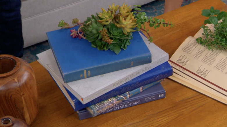 A planter made from a stack of books and planted with succulents sits on a coffee table in a living room.