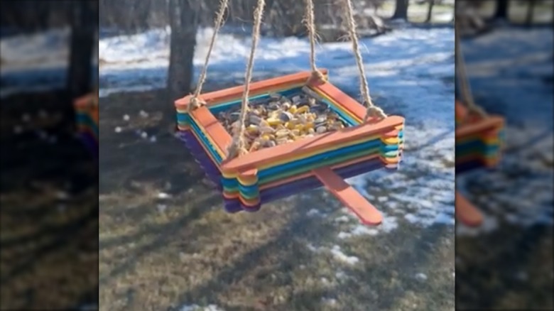 colorful bird feeder made from popsicle sticks