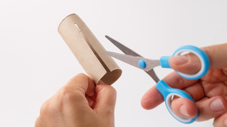 Someone cutting a toilet paper roll in half