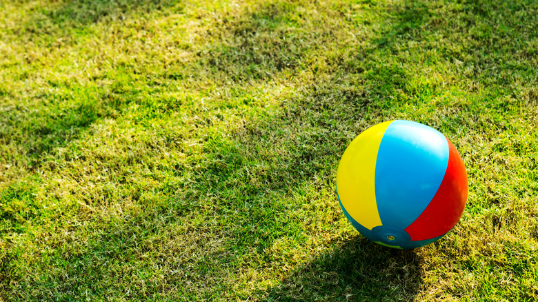 colorful beach ball on grass