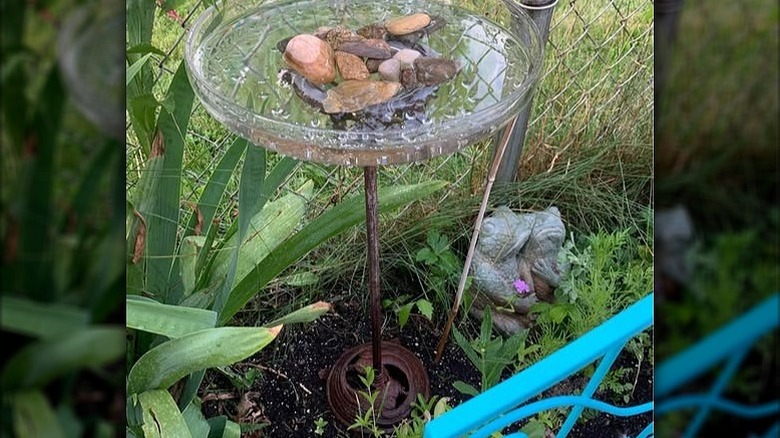 A bird bath made from a smoking stand and a crystal serving plate in a garden bed.
