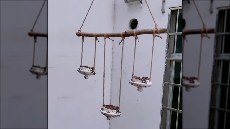 Screenshot of DIY teacup lid bird feeder or planter