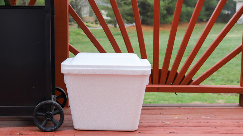 Styrofoam cooler outdoors in front of a gate