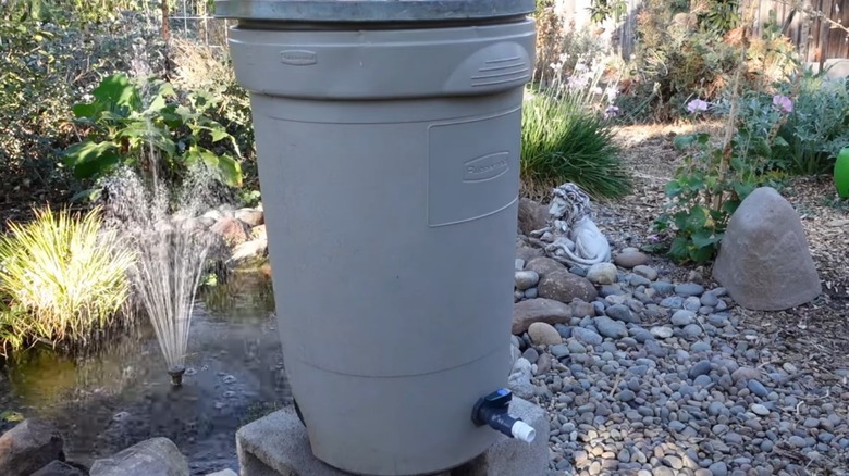 Closeup of a rain barrel made from a trash can sitting in the garden on two cinder blocks with a pond and a solar fountain in the background.