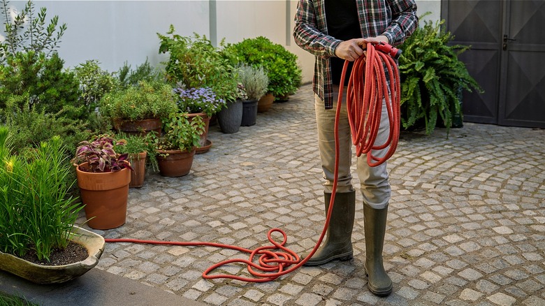 Person standing on paved surface with potted plants on the left coils a red garden hose