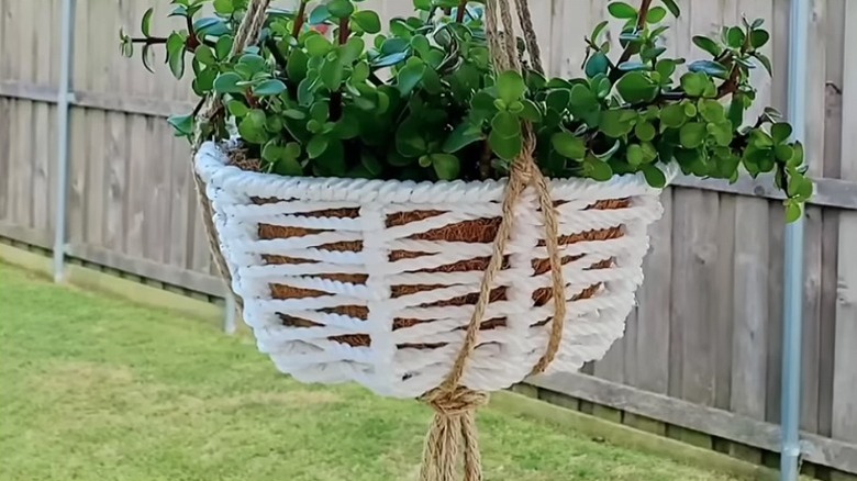 A Dollar Tree hanging basket wrapped with white poly rope and hung outdoors with heavy jute twine.