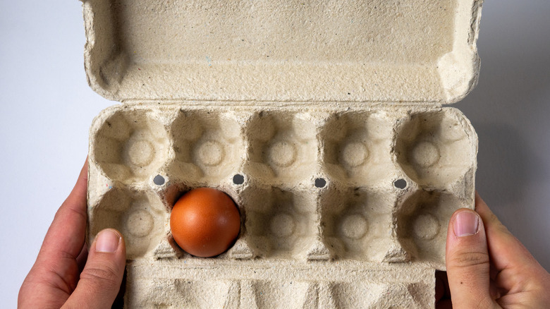 Overhead shot of two hands holding a nearly empty egg carton