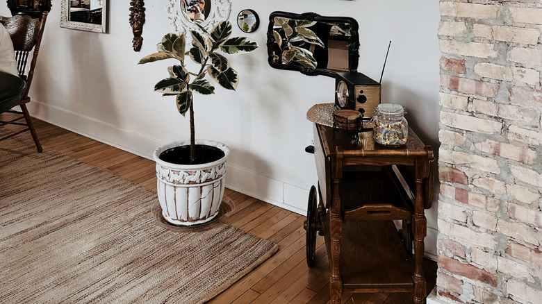 A gallery of mirrors in assorted styles adorns the wall inside a house.