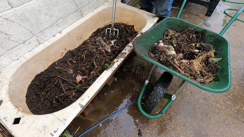 A gardener fills a bathtub with soil and compost.