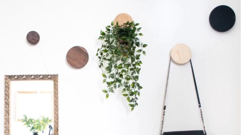 Round candle lids used as hanging wall storage for a plant and a purse