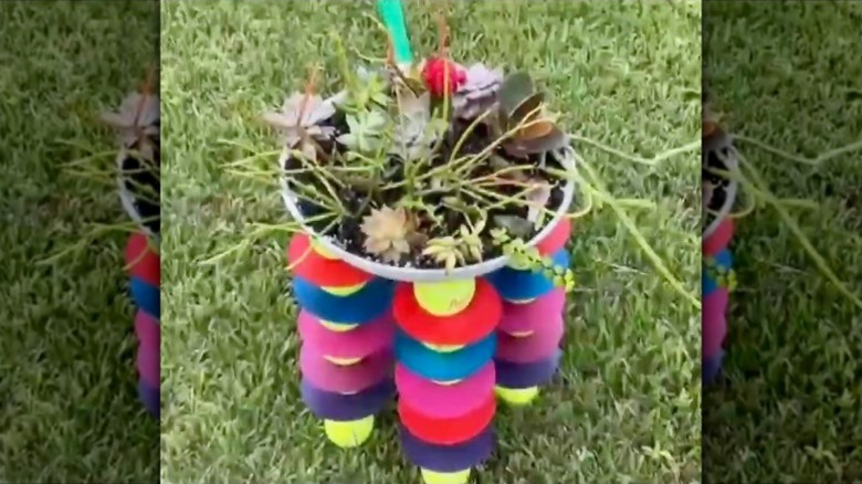 A planter stand made from old frying pan, tennis balls, and CDs and planted with succulents.