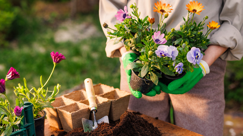 A gardener planting flowers