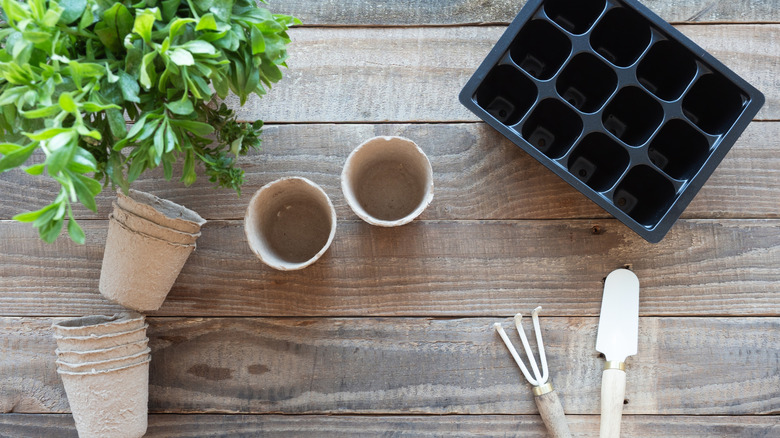 Small garden tools, seedling pots, and a seed tray on a wooden table
