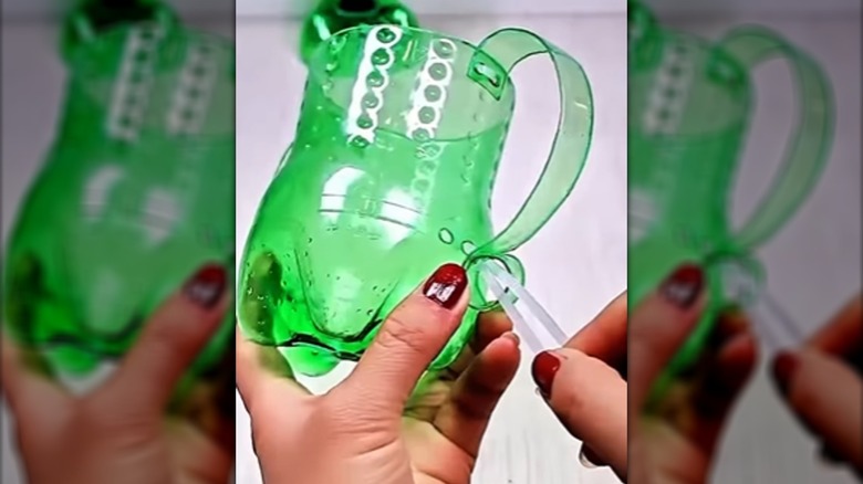 Person making a DIY planter using plastic soda bottle