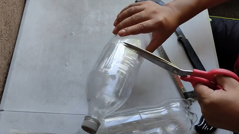 Person cutting plastic soda bottle using scissors