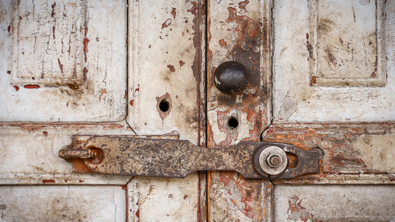 Rustic doors on a broken down house