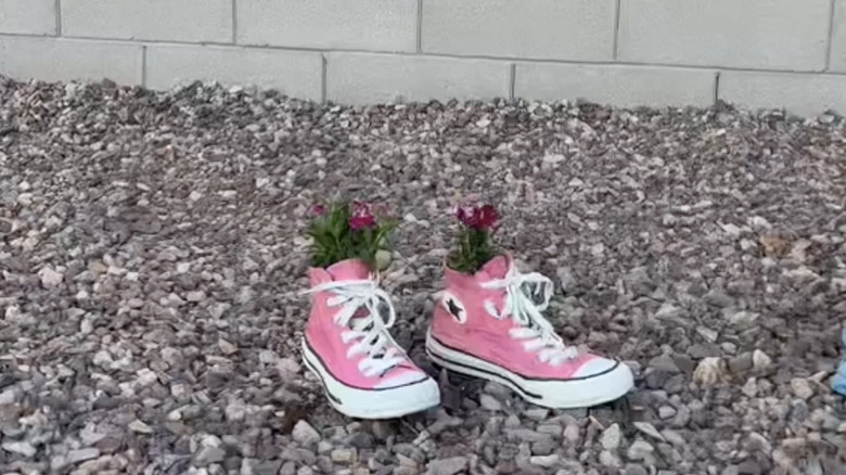 Old Converse shoes made into planters for the garden using cement and pink paint.