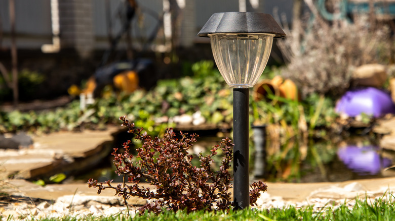 A single solar light in a garden