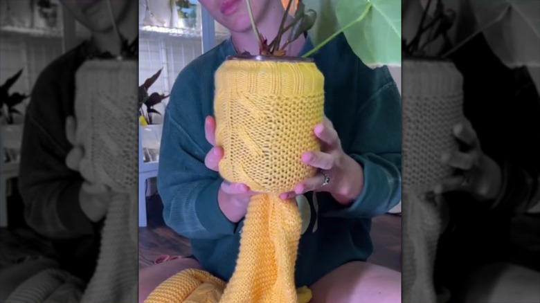 A pair of hands holding a planter covered by a sweater sleeve