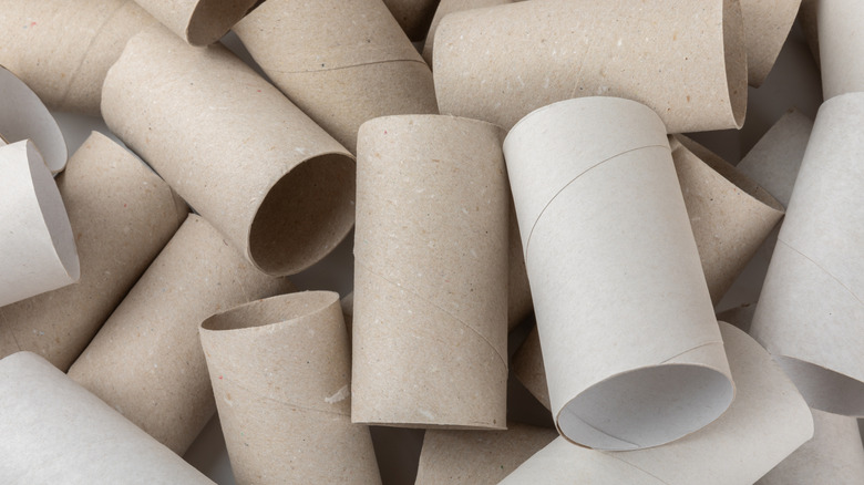 Empty toilet paper rolls