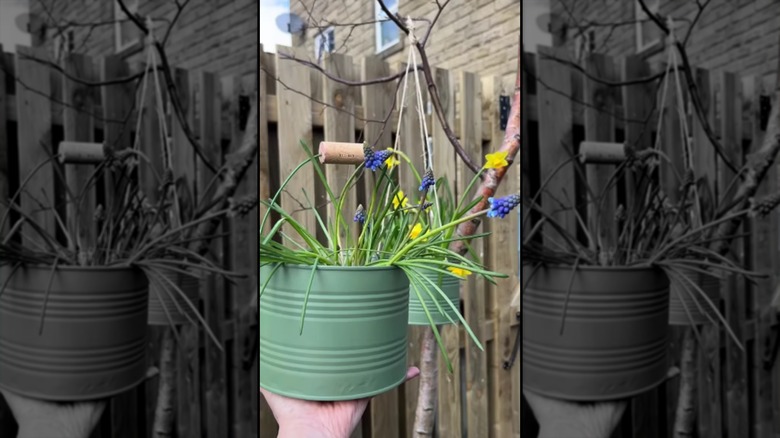 A hand holds a hanging planter repurposed from a large tomato can.
