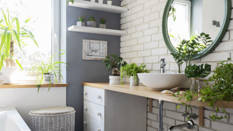 A bathroom filled with small plant pots across various countertops, shelves, and window sills.
